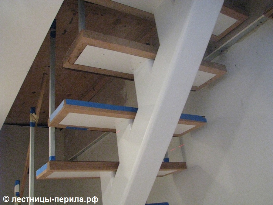 Металлическая лестница на монокосоуре в деревне Вёшки